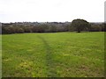 Footpath Near Ipstones