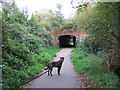 Bridge carrying London Road over the Flitch Way