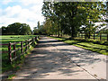 Driveway to Burlingham Lodge Farm