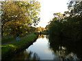 Leeds Liverpool Canal near Salterforth