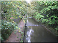 SP0683 : River Rea by Cannon Hill Park by Robin Stott