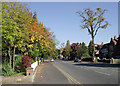 Albert Road, Wolverhampton