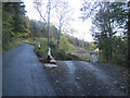 Forestry track off Llangedwyn road