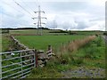 Line of pylons near Craigshaws