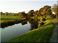 Leeds Liverpool Canal near Salterforth