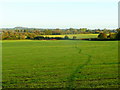 Footpath through meadows