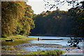 Fly fishing on the Tweed