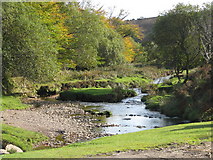 SS8132 : The Litton Water from Lower Willingford bridge by Sarah Charlesworth