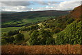 Hillside above Cwmyoy