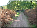 The track along the ridge top