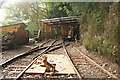 SX4469 : Gulworthy: Morwellham mine railway by Martin Bodman