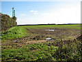 Field south of Hand Lane