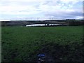 Fields at Gartgill Road