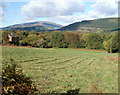 Field on the north side of Abergavenny Road, Gilwern