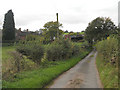 Lane to Horseleyhills Farm