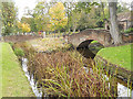 Stream and footbridges at Broadwaters Park