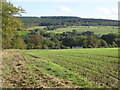 Farmland west of Sunnyside (3)