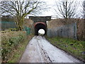 Track west of Limefield Farm