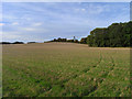 Farmland, Pyrton