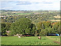 Grazing land southwest of Farnley Grange