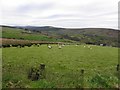 Gorticashel Townland