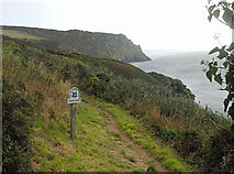 SW9137 : South West Coast Path nears Nare Head by Row17