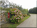 Treviskey postbox