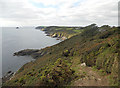 South West Coastal Path at Hartriza Point