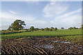 Football pitch off Butley Lanes