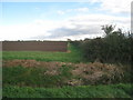 Field boundary off Broad Fen Lane