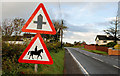 Two road signs at the Corbet near Banbridge