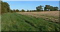 Farmland near Oadby Lodge Farm