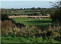 Countryside near Oadby Lodge Farm