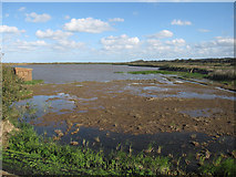 TF7544 : Cleared area by the Island hide, Titchwell by Hugh Venables