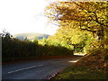 ST8920 : Melbury Abbas: Melbury Hill from Zig-Zag Hill by Chris Downer