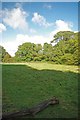 Meadow Near Lambourne End