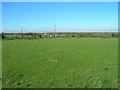 Pasture off Ladbroke Road near to Folly Fields Farm