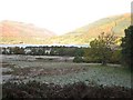 Frosted field by Loch Earn