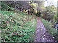 Footpath along Middlehope Burn