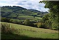 Field above Burn Mill