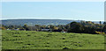 2010 : Looking over a grassy knoll toward Sunnyside Farm