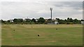 Stenhousemuir Cricket Club