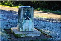 TQ2271 : War Memorial on Wimbledon Common by Peter Trimming