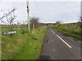 D1318 : Skerry West Road by Kenneth  Allen