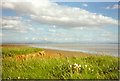 Estuary of the River Nith