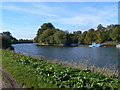 The Thames near Marble Hill