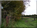 Footpath to Halesworth Road