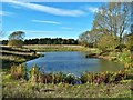 Pond beside Feeder Road to A66, Darlington