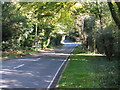 A275 approaching Chelwood Gate