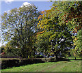 Bantock Park at Bradmore, Wolverhampton